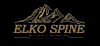 Photo for Elko Spine Physical Therapy