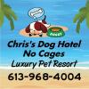 Photo for Chris's Dog Hotel No Cages Luxury Pet Resort