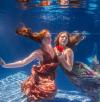 Photo for Water Pixies