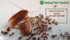 Photo for Pest Control Services in Gurgaon | Call 9811381458