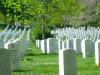 Photo for Reach Cheap Funeral Home in  Huntley IL