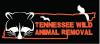 Photo for Wildlife Removal Nashville TN - Tennessee Wild Animal Removal