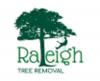 Photo for Raleigh Tree Removal