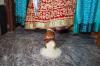 Photo for The Wedding Photographer in Bhubaneswar
