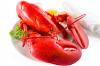 Photo for Global Lobster Market Projected to Reach US$ 13.9 Billion by 2024