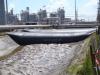 Photo for Dam-It-Dams