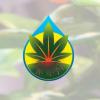 Photo for Wholesale Indoor Garden Supplies - Grow It Best