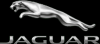 Photo for Jaguar Riverside
