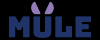 Photo for Mule Media Inc