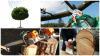 Photo for Dunkel Tree Service LLC