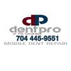 Photo for Dent Pro of the Carolinas