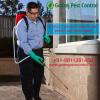 Photo for Pest Control Noida | Call 9811381458 | Exclusive Services