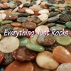Photo for Everything Just Rocks