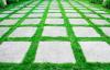 Photo for Green Cement Market Report | Industry Size and Leading Key Players - Anhui Conch Cement Company, CEMEX, CNBM, Italcementi, LafargeHolcim, CeraTech