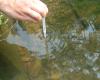 Photo for Water Quality Monitoring Market 2018 : Industry Growth, Trends, and Forecast Report, To 2025
