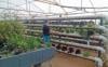 Photo for Aquaponics Market Scope, Trends, Industry Growth, Leading Key Players 2018 – 2026