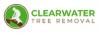 Photo for Clearwater Tree Removal