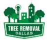 Photo for Dallas Tree Removal