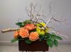 Photo for AppleTree Flowers
