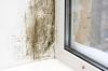 Photo for Cornerstone Custom Construction INC