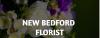 Photo for New Bedford Florist