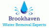 Photo for Brookhaven Water Removal Experts