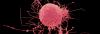 Photo for Autologous Stem Cell and Non-Stem Cell Based Therapies Market Growth Analysis to 2026