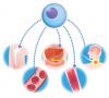 Photo for Regenerative Medicine Market Perspective by Comprehensive Analysis Growth Prediction to 2026