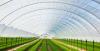 Photo for Greenhouse Film Market Report 2018-2025 Product Scope & Key Players - Agriplast SRL, Agripolyane, British Polyethylene Industries Visqueen