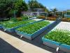 Photo for Aquaponics Market Study By Component, Equipment, Application & Top Key Players - Backyard Aquaponics Pty Ltd., Colorado Aquaponics, ECF Farmsystems GmbH