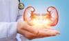 Photo for Implantable Bioartificial Kidney Market - Size, Share, Outlook, and Opportunity Analysis, 2018 – 2026