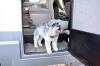 Photo for Best Luxe RV Rental