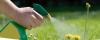 Photo for Agrochemical Market Study By Type, Application & Top Key Players - Agrium Inc., BASF SE, Bayer AG, Dow Agrosciences, Israel Chemicals Ltd., Monsanta Company