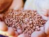Photo for Global Potash Ores Market | Industry Outlook Research Report 2018-2025 By DecisionDatabases