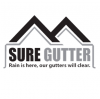 Photo for Gutter Cleaning and Downspouts Installation in South Dakota and Florida