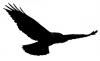 Photo for Hawk Educational Solutions