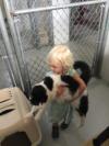 Photo for Transport Pets