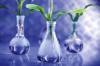 Photo for Green and Bio Polyols Market Report | Top Key Players are - Cargill Inc., The DOW Chemical Company, BASF SE, Bayer AG, Stepan Company