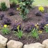Photo for Mckinney Landscape Company