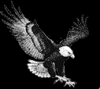 Photo for Full Surveillance