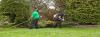 Photo for Water Gardens and Creative Landscaping