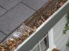 Photo for Importance of Eavestrough Cleaning In North Vancouver