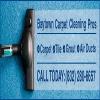 Photo for Baytown Carpet Cleaning Pros