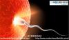 Photo for What is sperm regeneration?