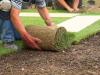 Photo for Lake Life Lawncare & Maintenance, LLC