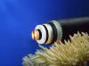 Photo for Global Submarine Power Cables Market Study | Manufacturers Analysis, Market Size, Share, and Forecast 2019 to 2025