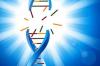 Photo for DNA Repair Drugs Market Size and Forecast up, 2018-2026: Coherent Market Insights