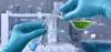 Photo for Ethyleneamines Market To, 2025 Trends, Growth and Key Players - Akzonobel N.V., Arabian Amines Company BASF SE, Delamine B.V.