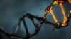 Photo for Animal Genetics Market to be Driven by the Increasing Consumption of Meat