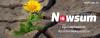Photo for Newsum - Positive News Headlines | Breaking News | Latest News